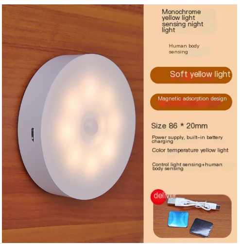 USB Rechargeable Motion Sensor LED Light